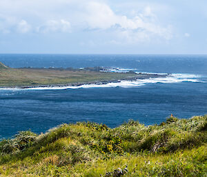 Lord Nelson Point, Macquarie Island 2023