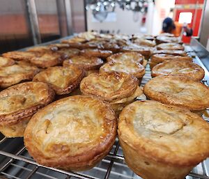 This photo shows a tray of small meat pies cooling in the kitchen.