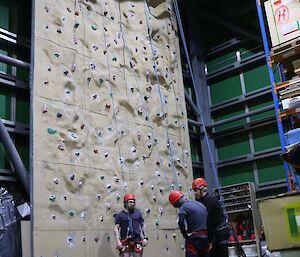 Three men are practicing on an indoor climbing wall