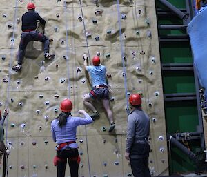 Two men are climbing on an indoor climbing wall while a woman and man control the belay ropes