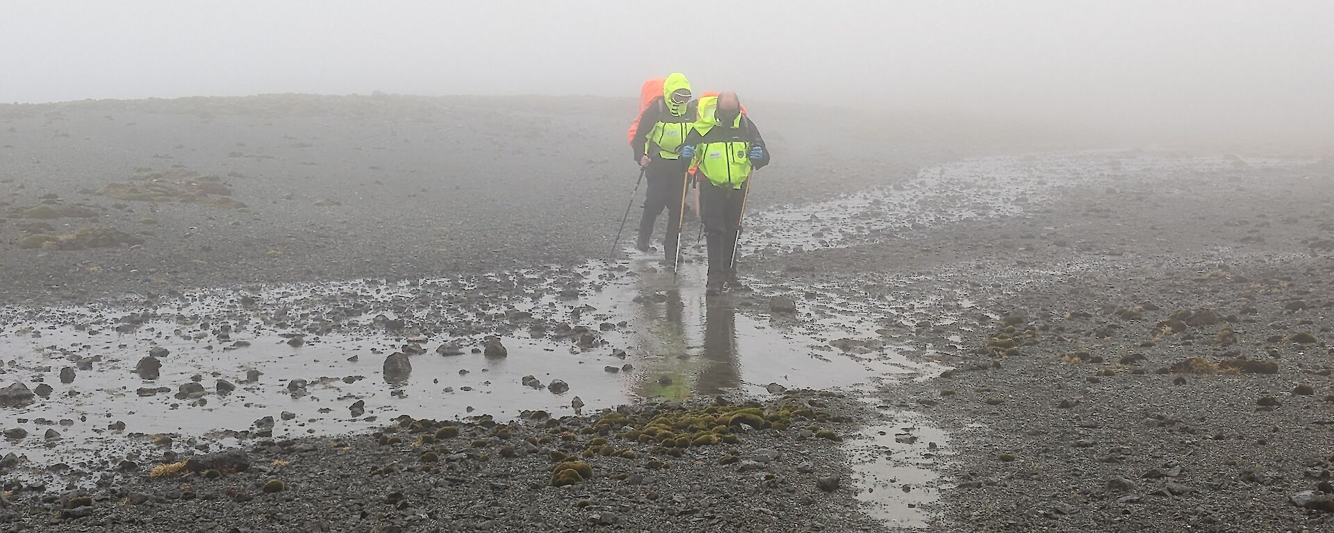 Field training at Macquarie Island 2023.
