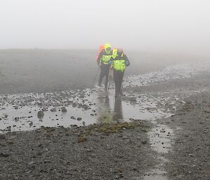 Field training at Macquarie Island 2023.