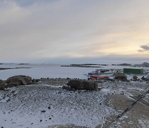 A harbour is covered in ice beyond station buildings on a rocky snow covered landscape