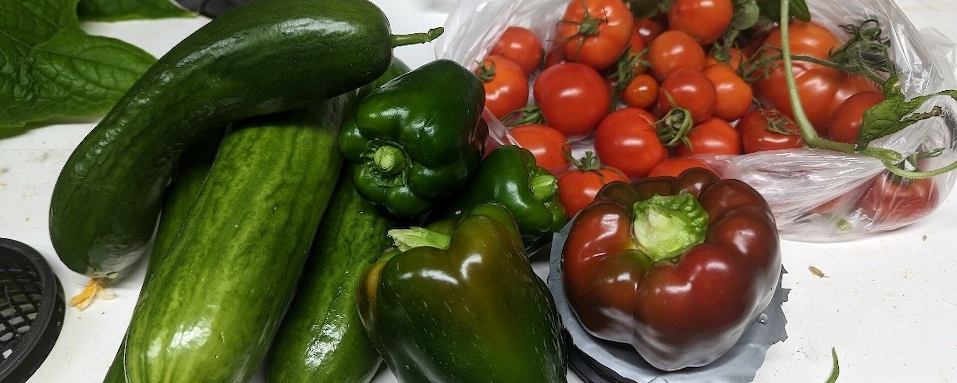 A selection of produce from the hydroponics building including four green cucumbers, three green capsicums, a red capsicum, and a bag with about twenty red cherry tomatoes.