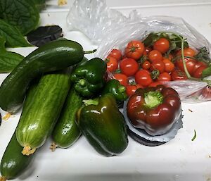 A selection of produce from the hydroponics building including four green cucumbers, three green capsicums, a red capsicum, and a bag with about twenty red cherry tomatoes.