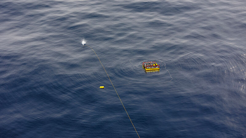 A yellow box floats in the water