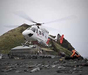 A white helicopter hovering just above a black sandy beach on Macquarie Island.
