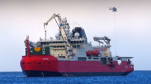 A helicopter hovering above RSV Nuyina's rear helideck.