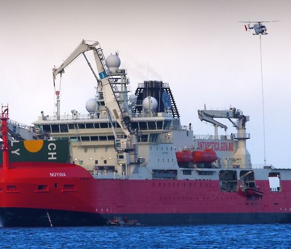 A helicopter hovering above RSV Nuyina's rear helideck.