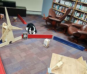 A stuffed toy dog is on the floor looking towards a mini golf hole made out of plyboard