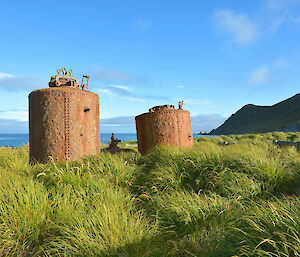 Digestors amid the tussock grass.