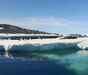 Through the centre of this photo is a band of ice, floating on clear blue water, with some rocks and clear sky behind. There are several small penguins standing on the ice, with a lone leopard seal to the right. The seal is sleeping.
