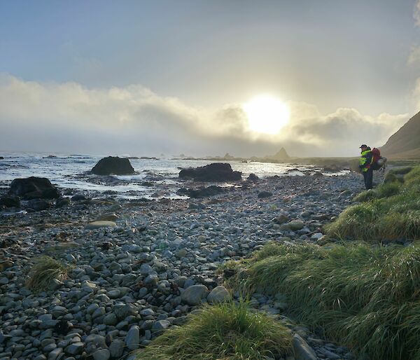 Aaron looking over the relatively clean beach at Sandell Bay at the end of a day of marine debris collection