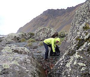 Damien collecting small bits of plastic and foam at Davis Bay.