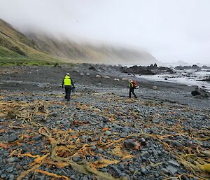 Searching for marine debris in Sandell Bay.