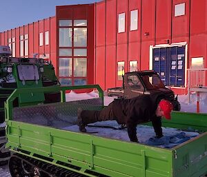 A man performs a push-up in the rear tray of a green tracked vehicle. In the background is a large red two storey building.