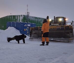 A man performs a push-up on snow covered ground, while another man stands in front of him with his hand raised. He is indicating to a large yellow bull dozer to stop and wait for the push-ups! In the background is a large green shed style building.