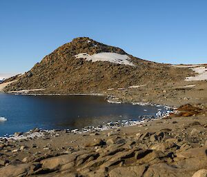 A rocky shoreline holds a small group of Elephant seals who are basking in the sun in a tight group. There is a low round hill to the rear of the small cove and a clear blue sky.