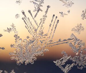 A very close-up picture of ice crystals on a glass window.