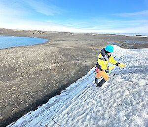 A man wearing a blue helmet and a harness rappels down a snow cliff.