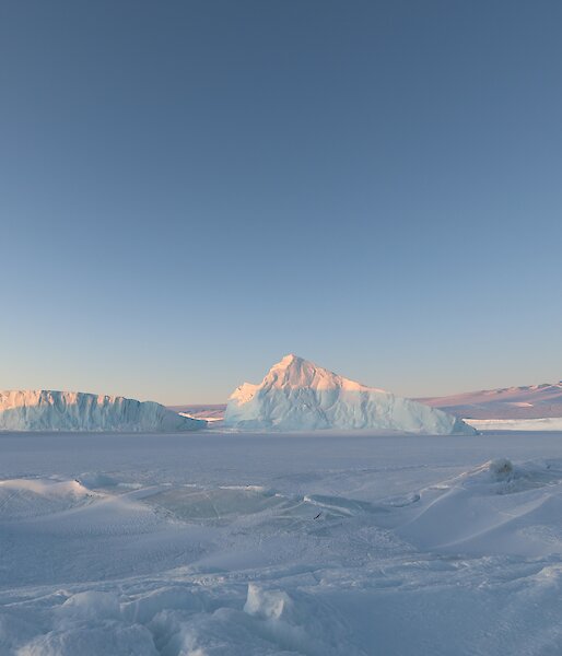 The tips of 2 icebergs reflect the sun. There is a rocky island to the left of frame and an ice-plateau rising in the distance.