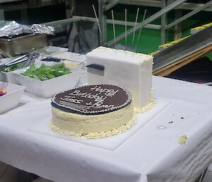 A birthday cake made in the shape of a toilet is on a table. On the chocolate toilet seat the words read Happy birthday Jess and Ryan.