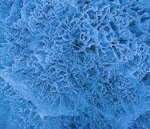 Vivid blue frozen lake ice with thousands of white cracks