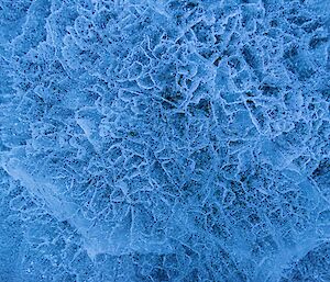 Vivid blue frozen lake ice with thousands of white cracks