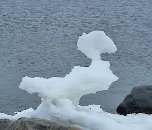 A piece of frozen sea-ice that looks like a frozen duck sits on a rock with the sea in the background.