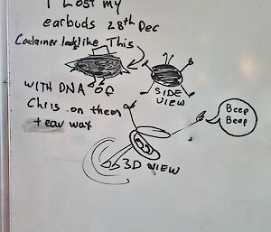 A hand-drawn picture of someone's lost earbuds on a whiteboard. People have added arms and legs and a hat to the earbud pictures.