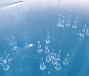 Clear blue lake ice with suspended air bubbles within creating a spectacular effect