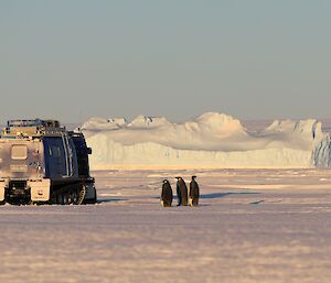 Three Emperor Penguins are standing on thee sea-ice looking at a blue Hägglunds vehicle that is parked. In the background is a large iceberg frozen into the sea-ice