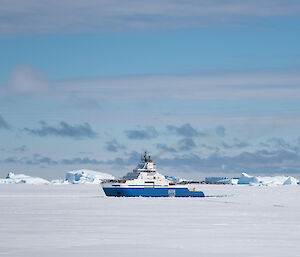 A big blue ship wedged into the sea-ice with a green Hägglunds in the foreground driving back from picking people up from the ship.