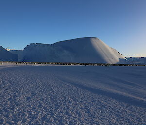 A very large number of emperor penguins are huddled together in the distance next to towering icebergs frozen into the sea ice.