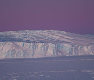 The sky is pastel purple over white and blue ice cliffs in the distance. In the foreground is an expanse of sea ice.