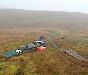 Boardwalk through the vegetation on a misty day