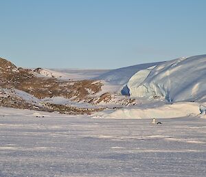 There is a large number of emperor penguins huddled in the distance on a rocky island. A glacier rises to the right of frame.
