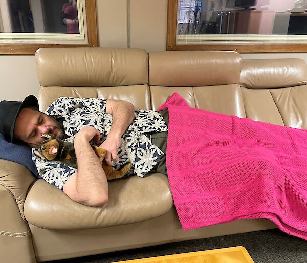 A man covered in a hot pink blanket lies on a couch cuddling a stuffed toy dog.