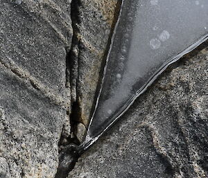 A triangle shaped wedge of ice is positioned between some cracks in a piece of rock.