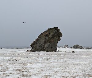 Handspike Corner - Macquarie Island.