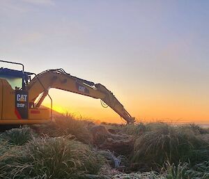 A CAT Excavator in action at Macquarie Island 2023.