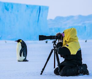 A woman is taking a photo with a camera and telephoto lens on a tripod. An emperor penguin is close by looking in the same direction. In the background are large icebergs