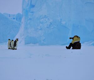 A man is sitting on the sea ice taking a photograph of four emperor penguins. In the background are large ice bergs