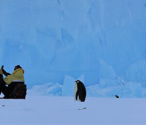 A man is taking a selfie photo and an emperor penguin is behind him on the sea ice.