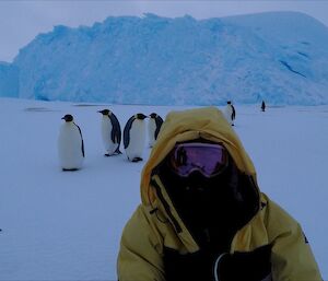 A woman is looking towards the camera. Behind her are a number of emperor penguins walking towards her. There are large ice bergs in the distance.