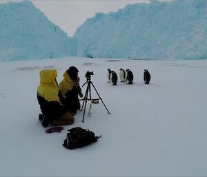 Two men are setting up a camera on a tripod. Just to their rear are five emperor penguins watching them. In the background are a number of large icebergs