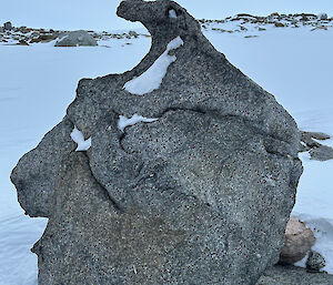 A rock with some snow that looks a little bit like a penguin