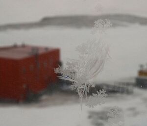 An intricately patterned ice crystal is on a window. Through the window can be seen a large red building and a rocky island in the distance.