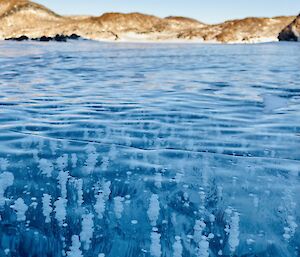 Vertically rising spherical air bubbles rising through clear blue lake ice.