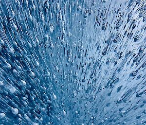 Close-up view of thousands of air bubbles rising through clear blue lake ice